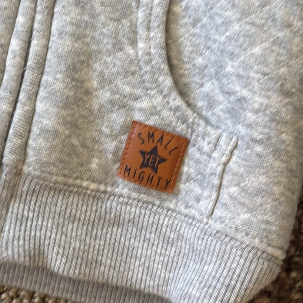 Simple Joys by Carters Baby Boy Gray Sherpa Lined Hooded Winter Coat Ears 12M